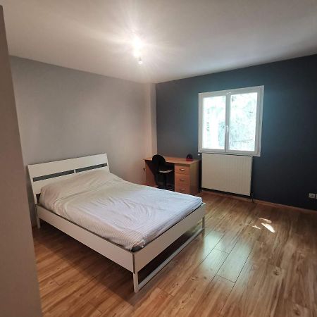 Chambre D'Hote Dans Une Maison Avec Parking Privee Saint-Etienne  Eksteriør bilde